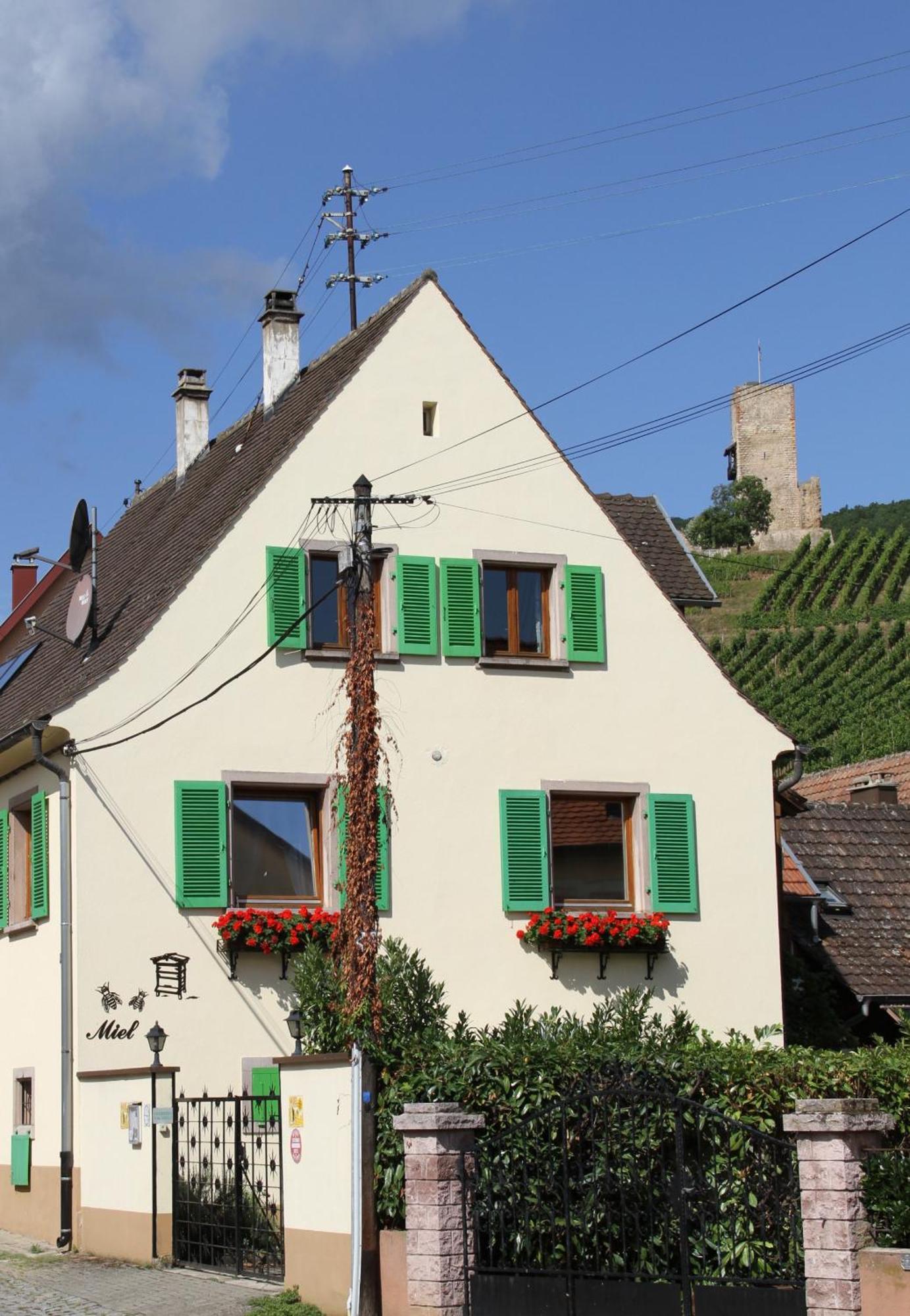 Les Gites 2-4 Pers Remy Herold Katzenthal 외부 사진